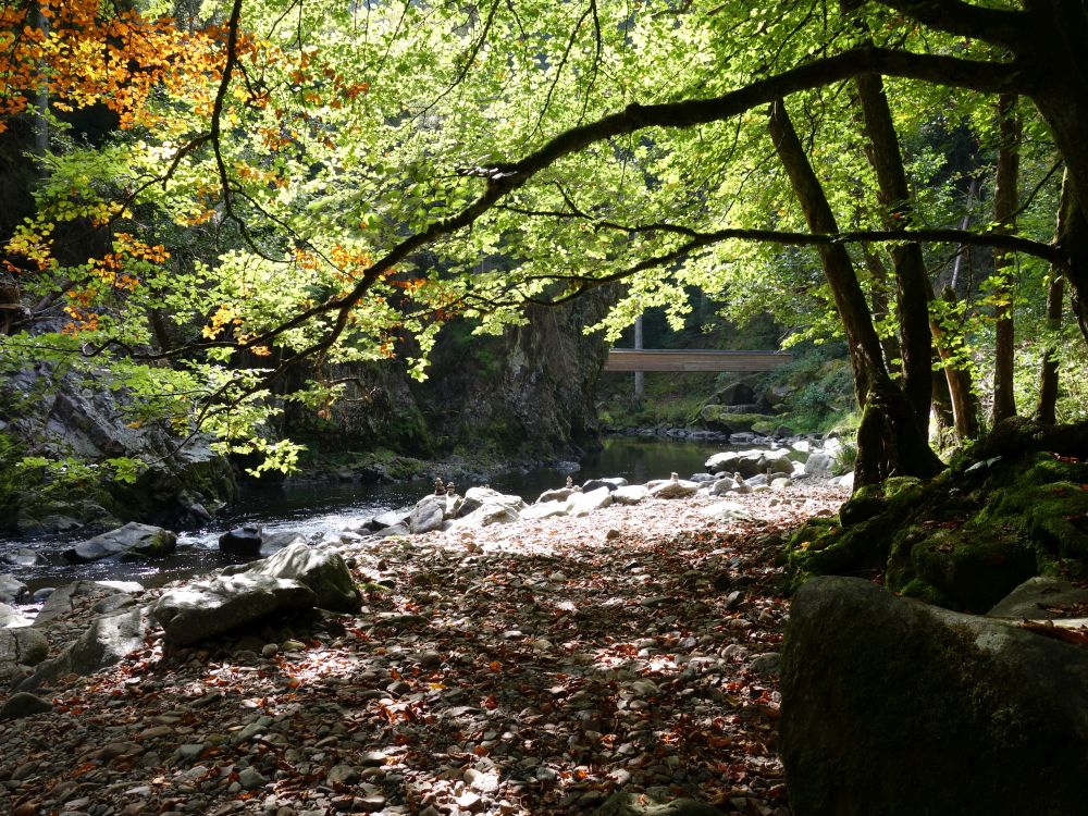 Wutach mit Steg