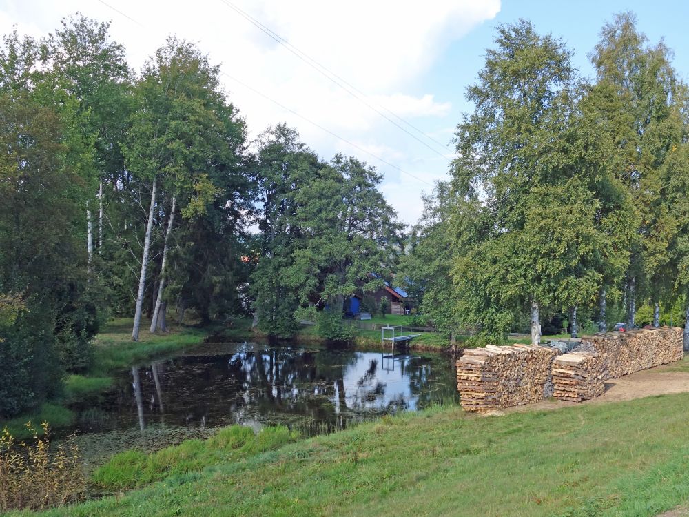 Teich in Gündelwangen