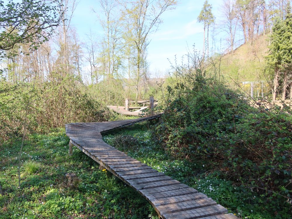 Bike-Park-Homburg