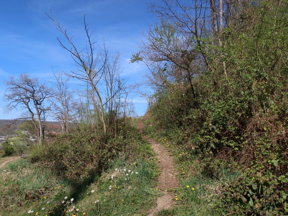 Bergpfad