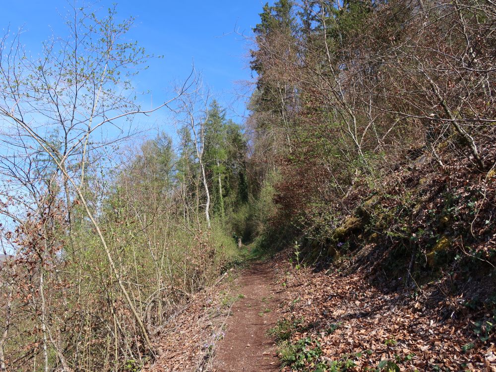 Bergpfad