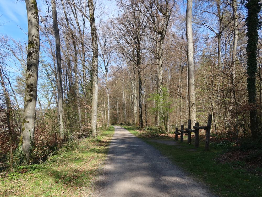 Waldweg