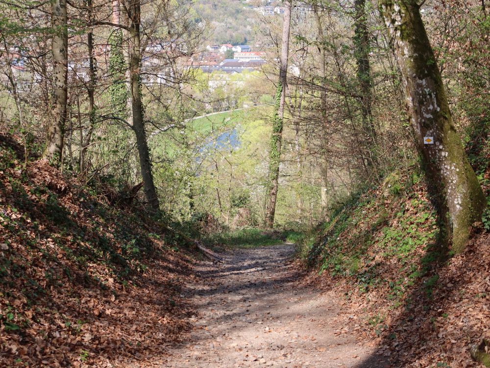 Waldweg
