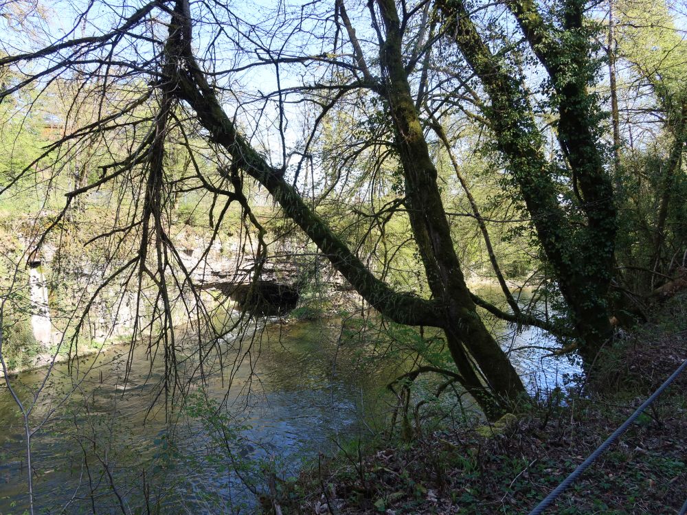 Wutach