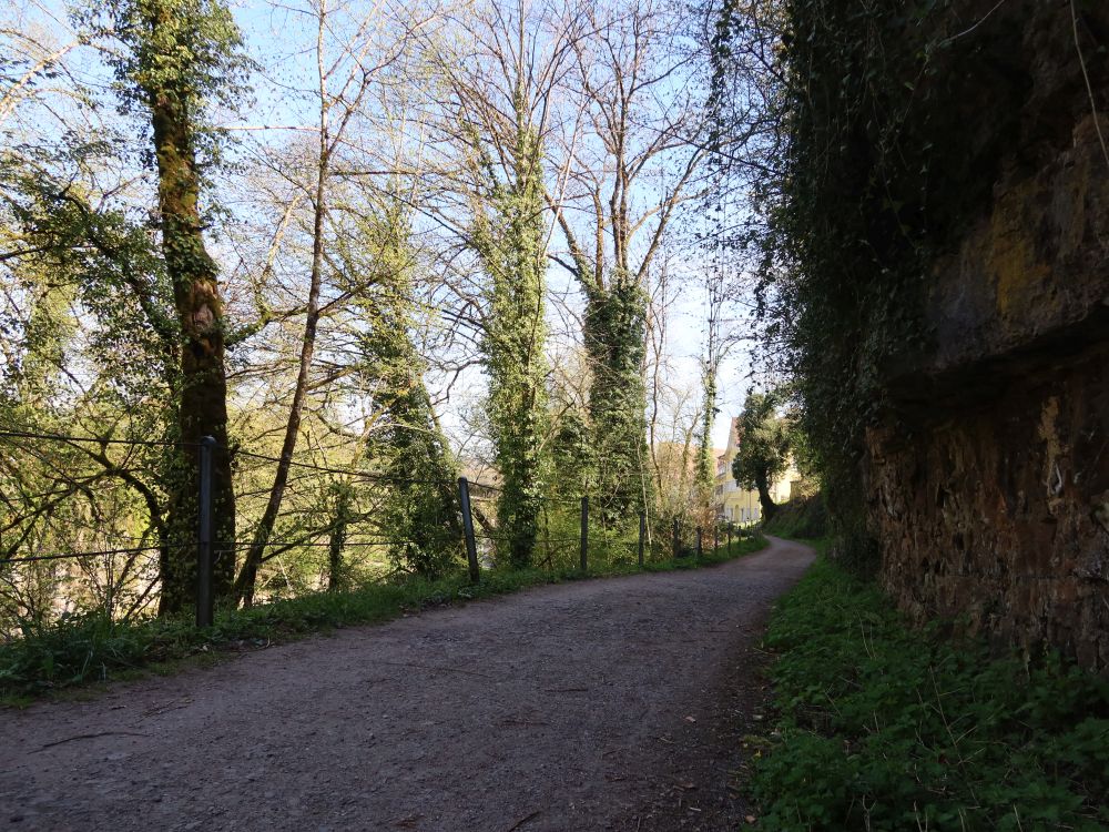 Lauffenmühleweg