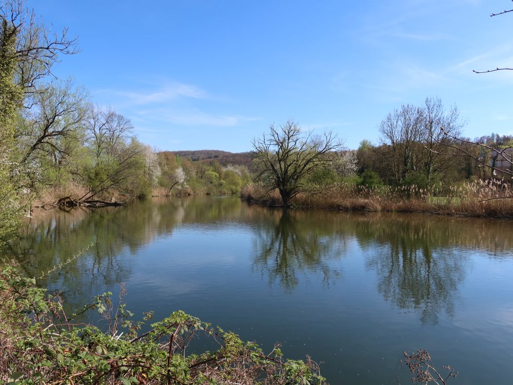 gestaute Wutach