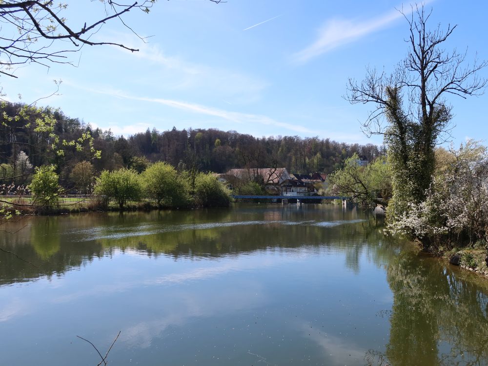 gestaute Wutach
