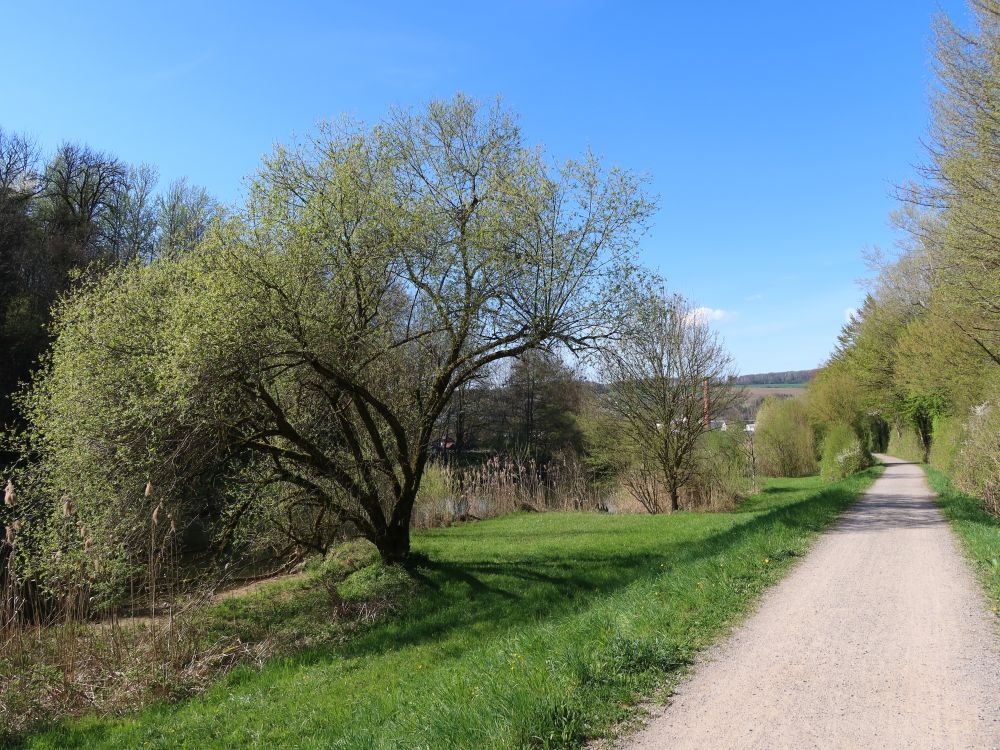 Uferweg