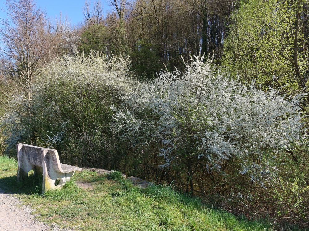 Sitzbank am Uferweg