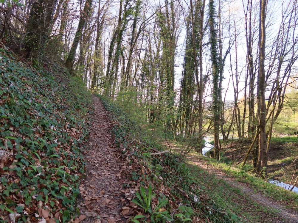 Bergpfad