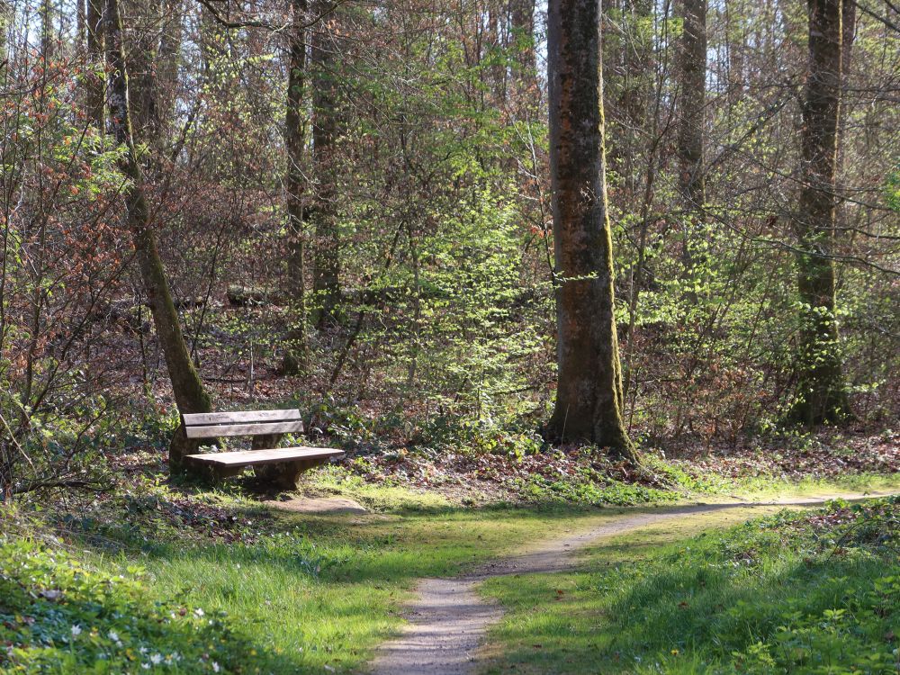 Sitzbank