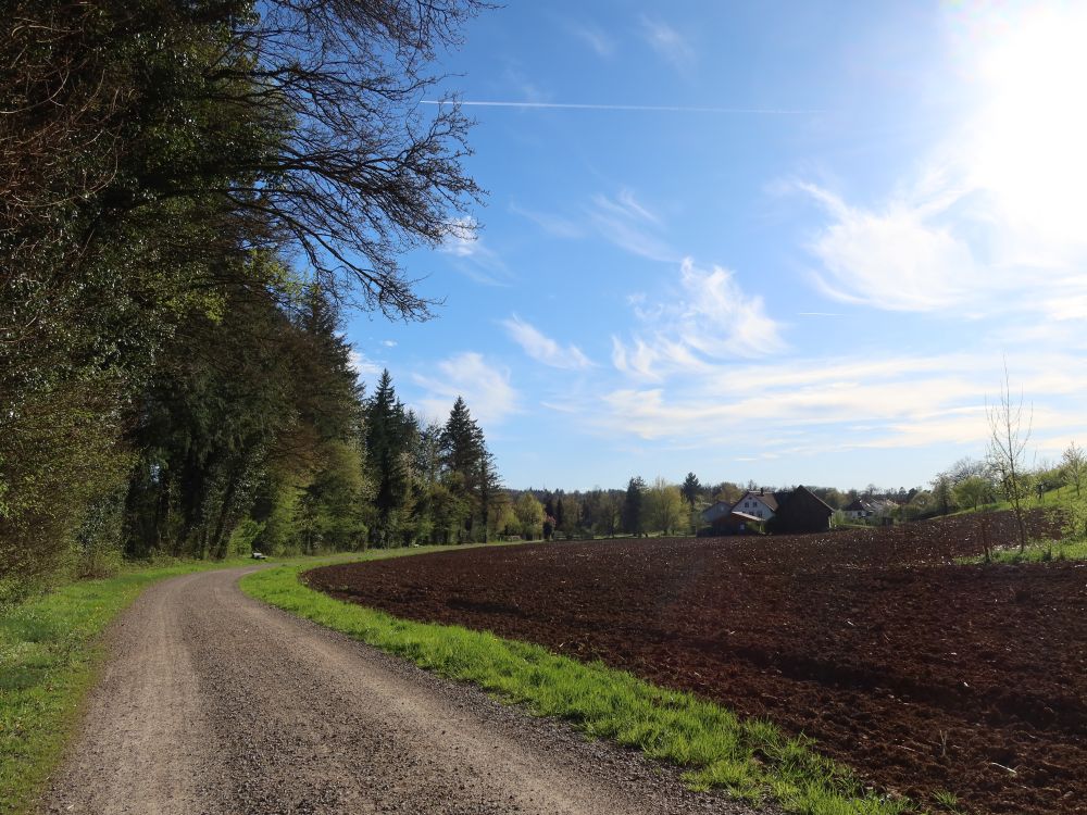 Weg am Waldrand