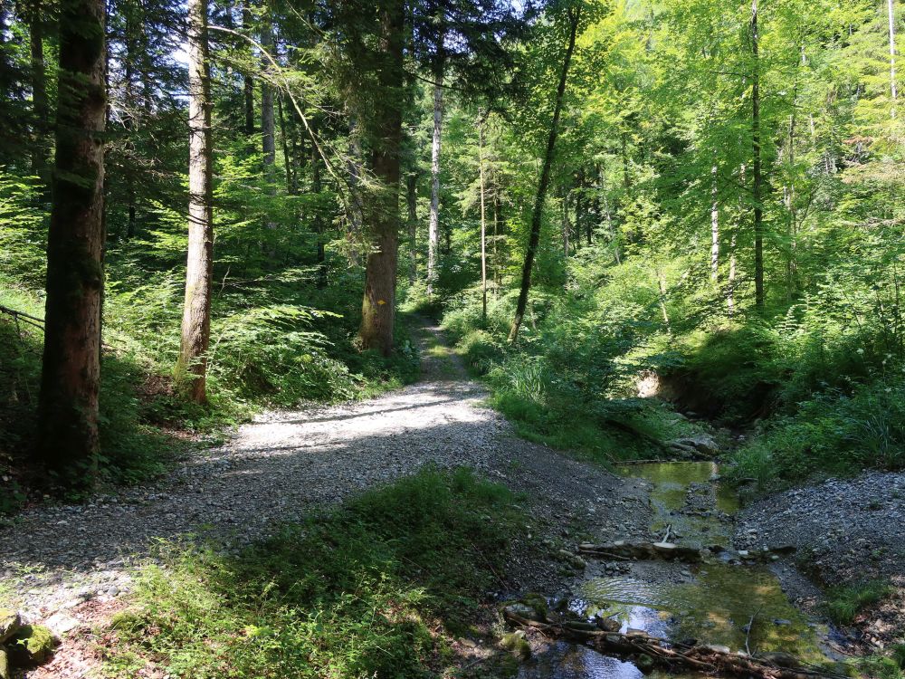 Weg am Zellerbach