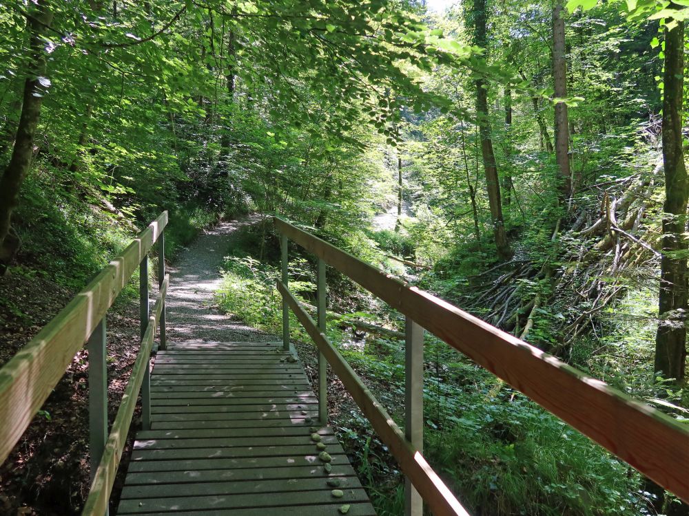 Geissenbachsteg
