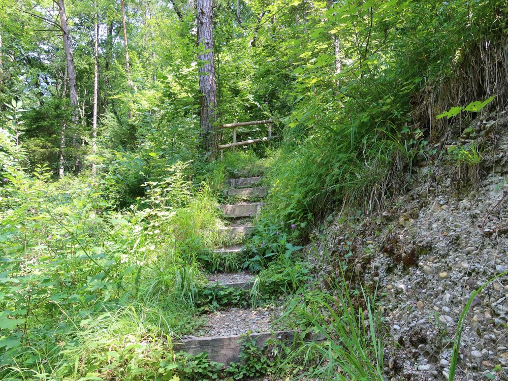 Treppe