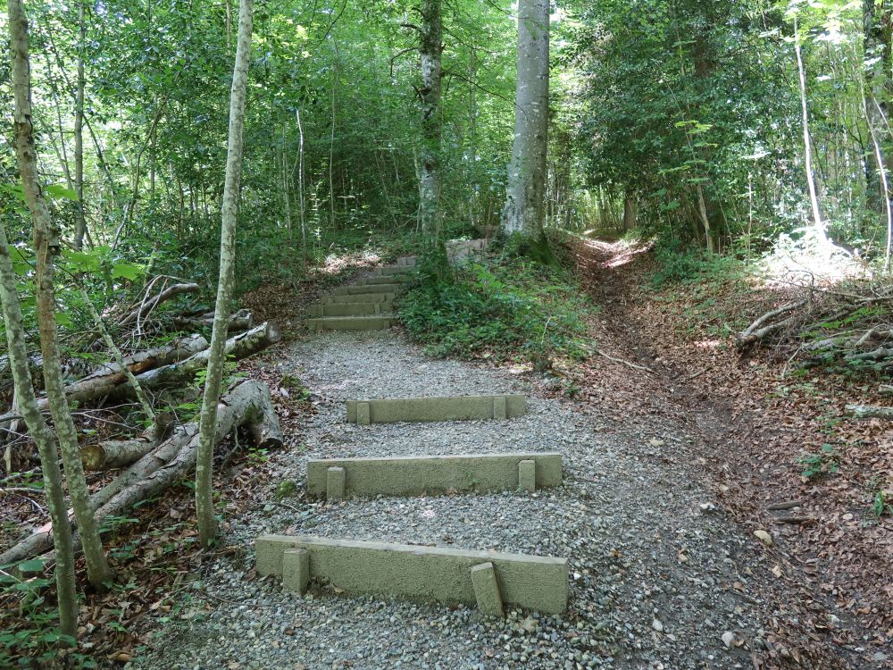 Treppe
