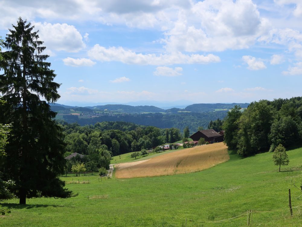 Blick auf Garten