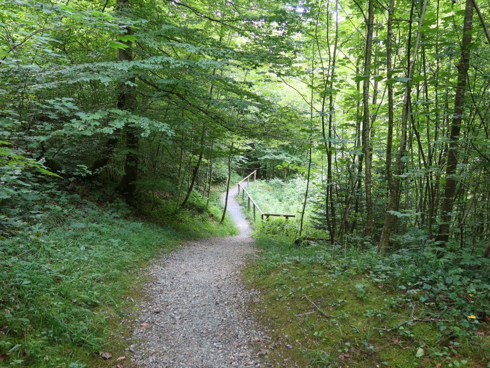 Röhrlitobelweg