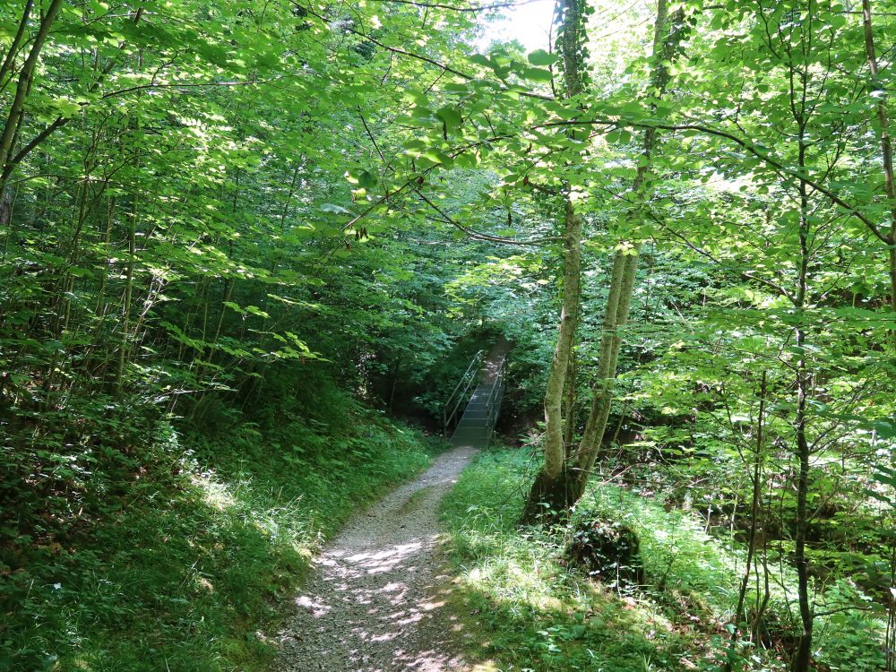 Röhrlitobelweg