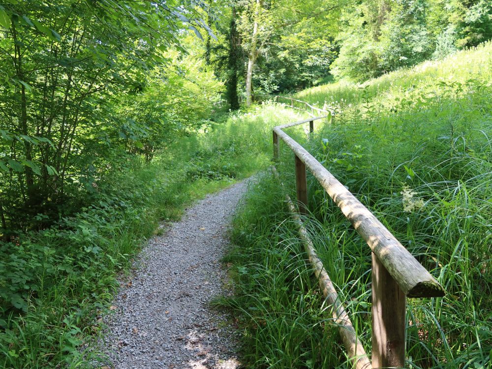 Röhrlitobelweg