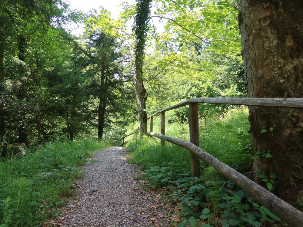 Röhrlitobelweg