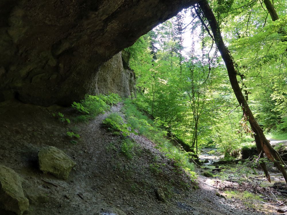 Bäntalbach