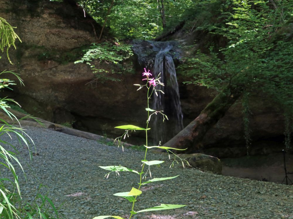 Giessen Bäntal