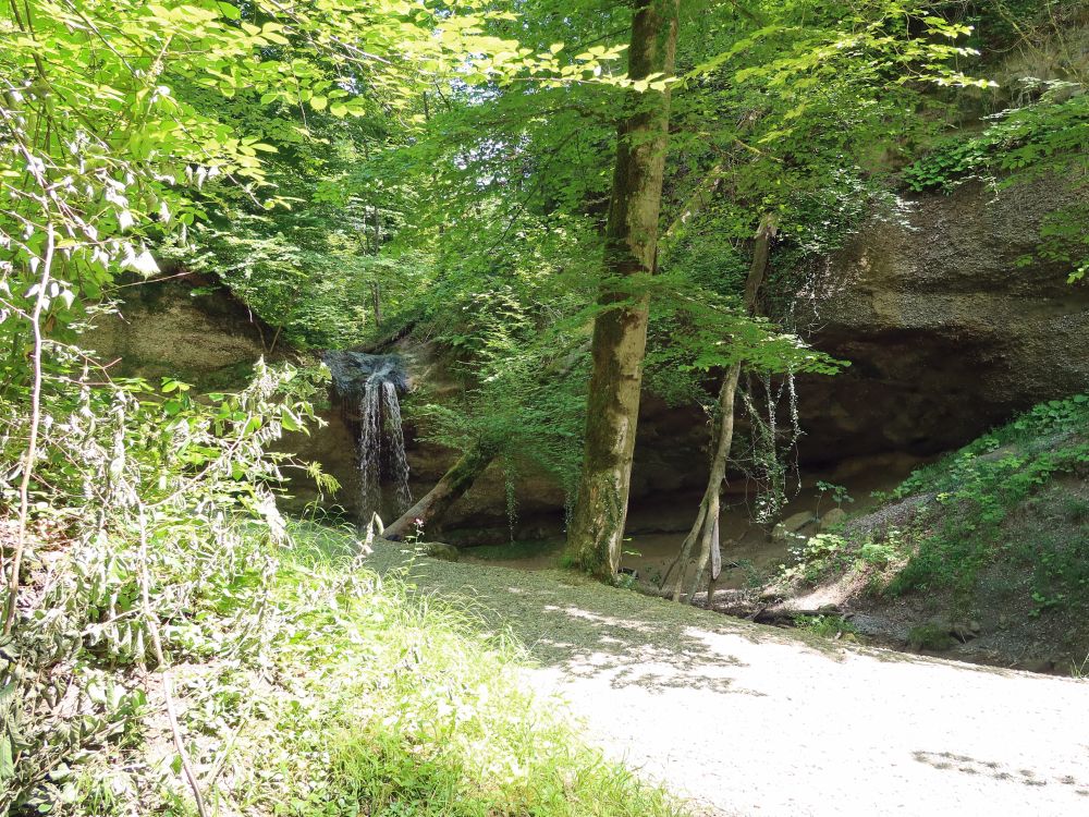 Giessen Bäntal