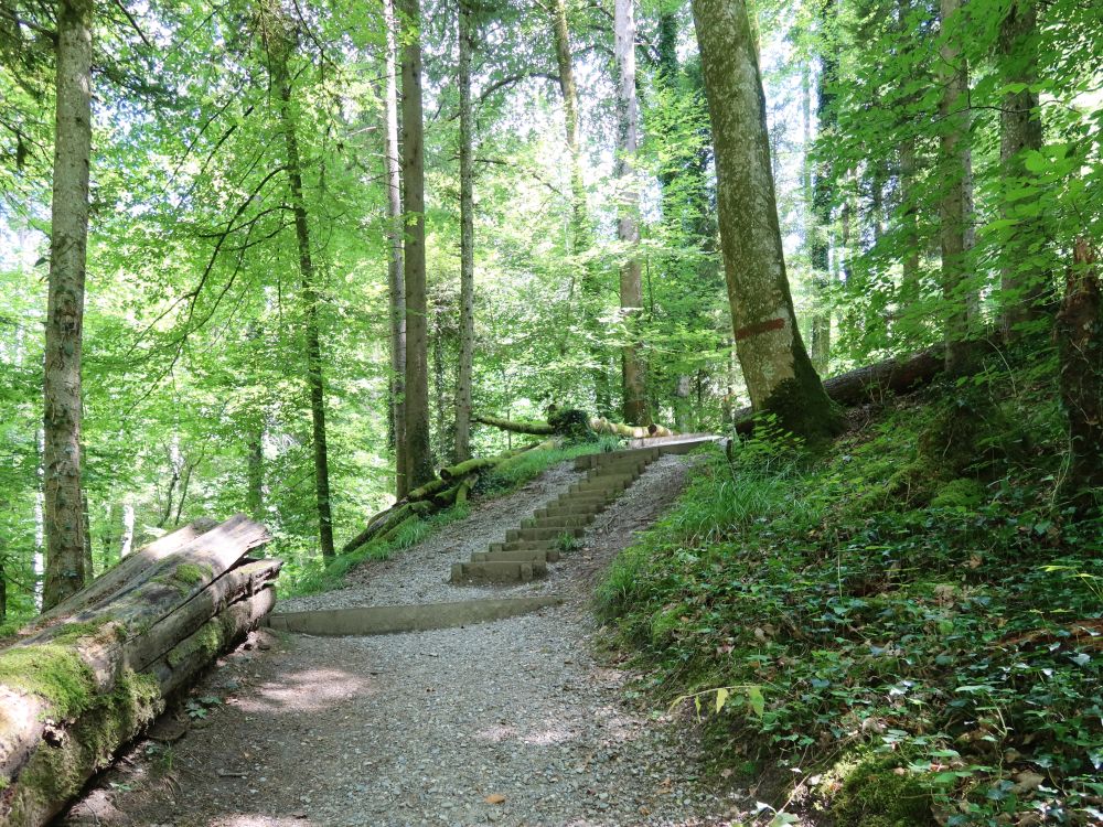 Treppe