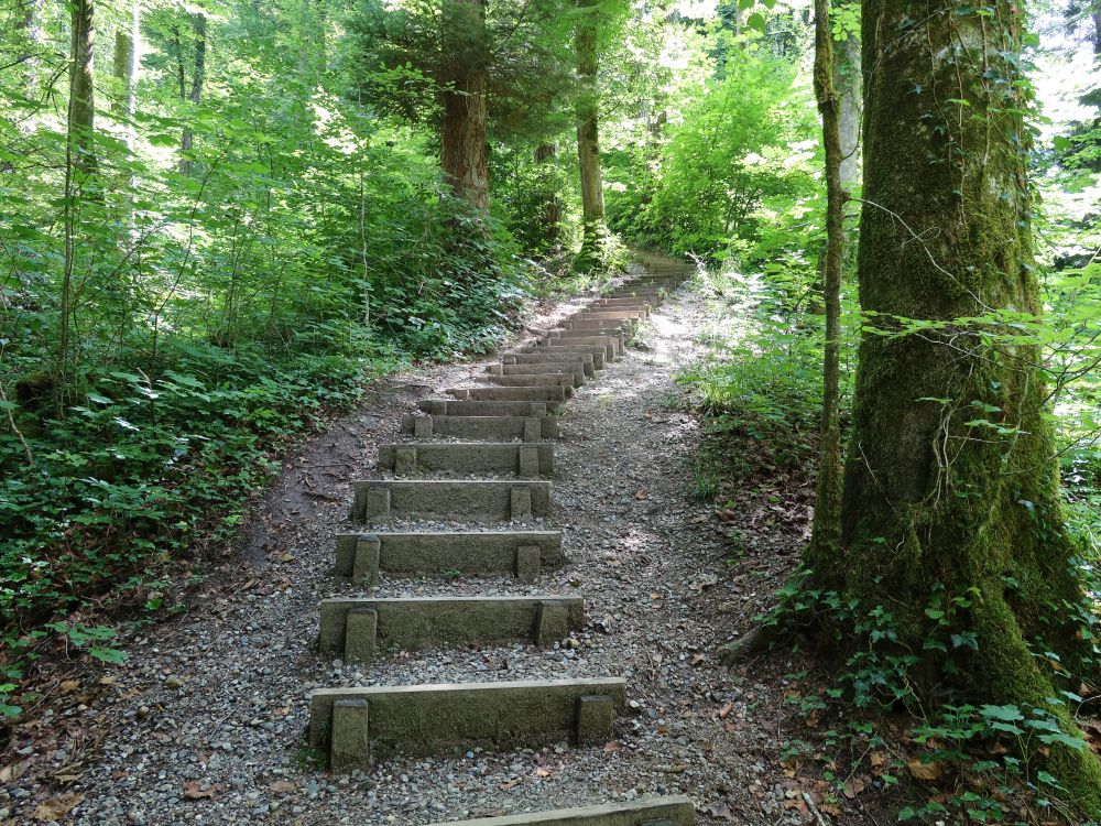 Treppe