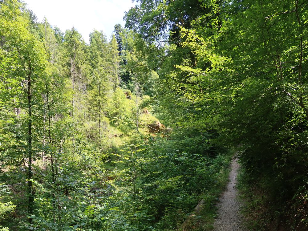 Pfad bei Tüfelschilen