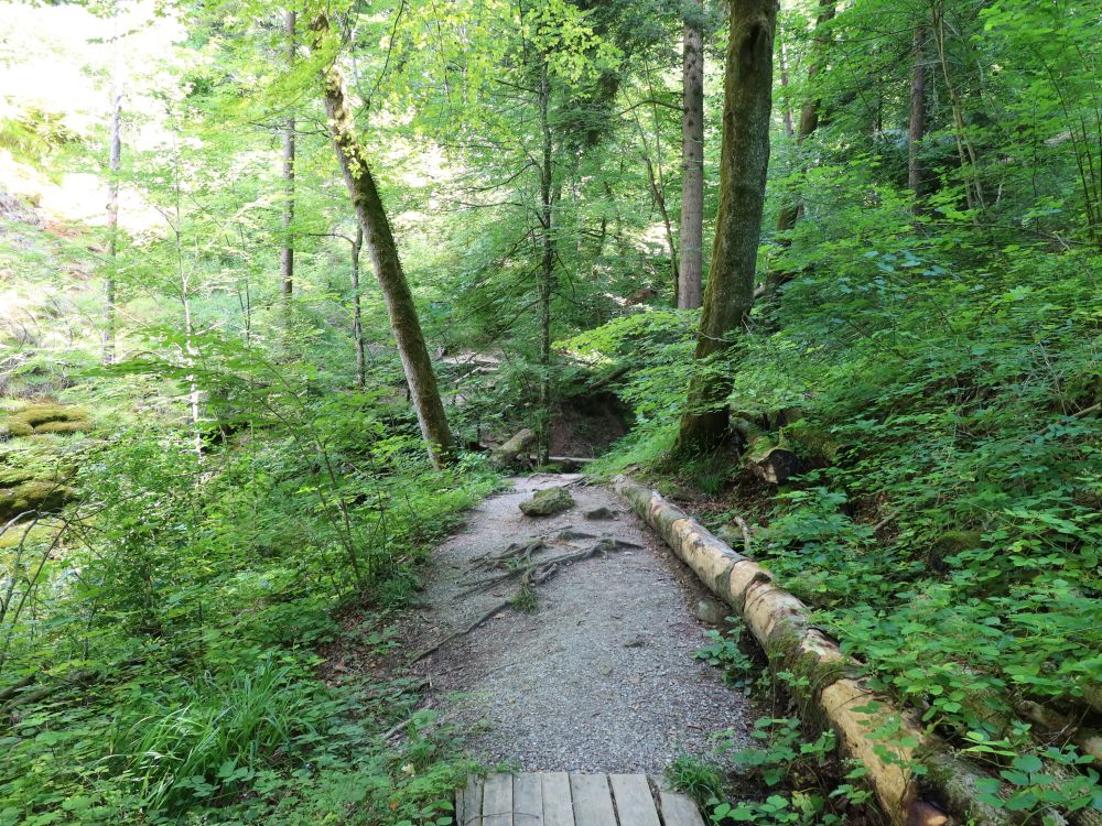 Tüfelschilen