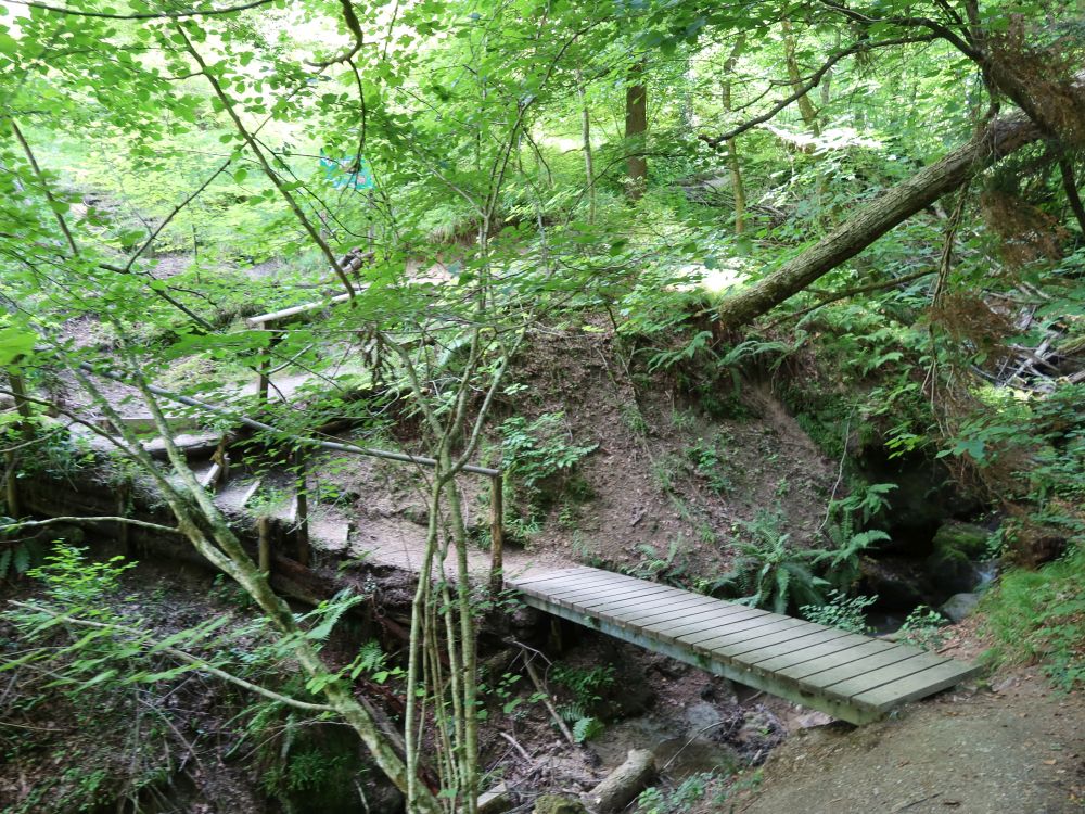 Steg und Treppe