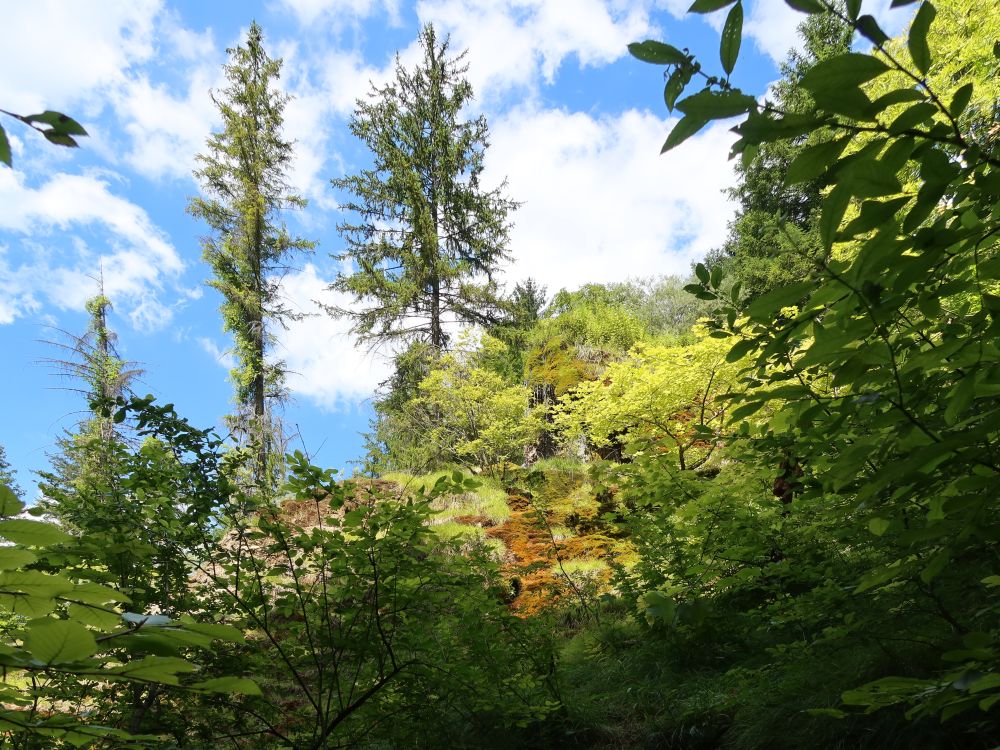 Tüfelschilen