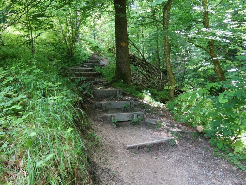 Treppe