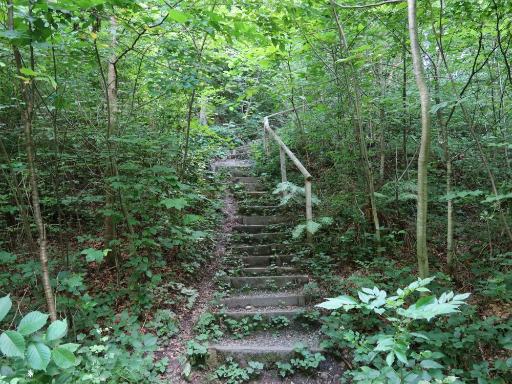 Treppe