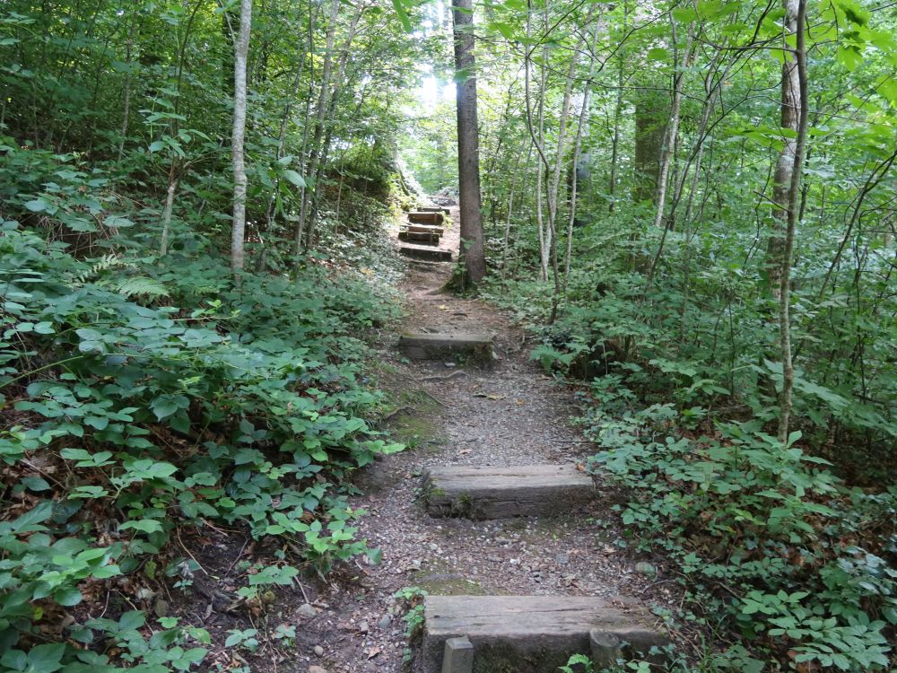Treppe