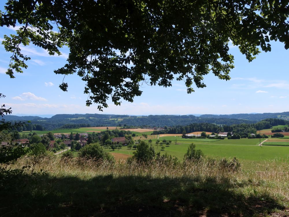 Oberlangenhard und Zehntenfrei