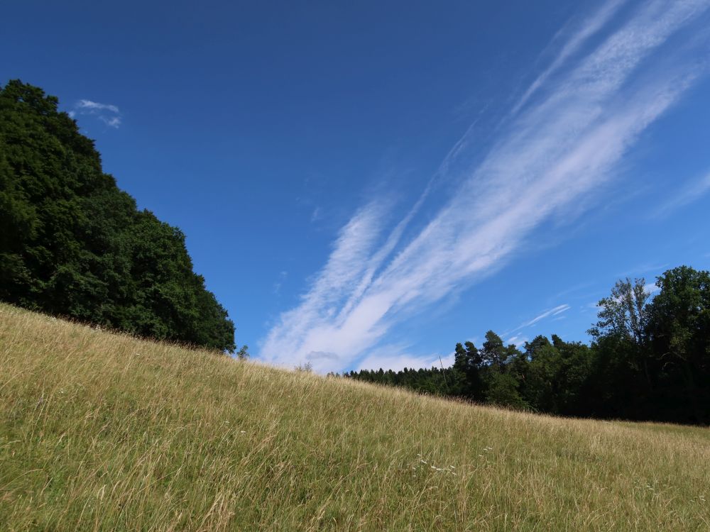 Wolken