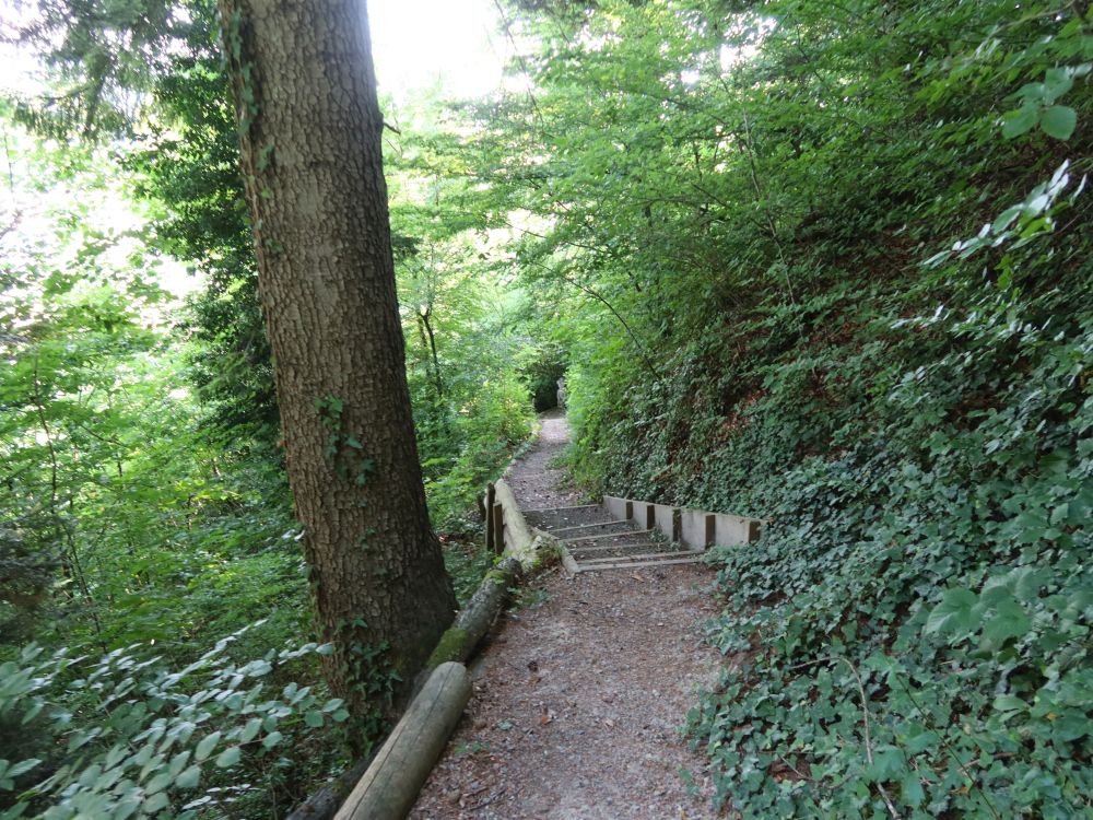 Treppe am Burkhard-Weg