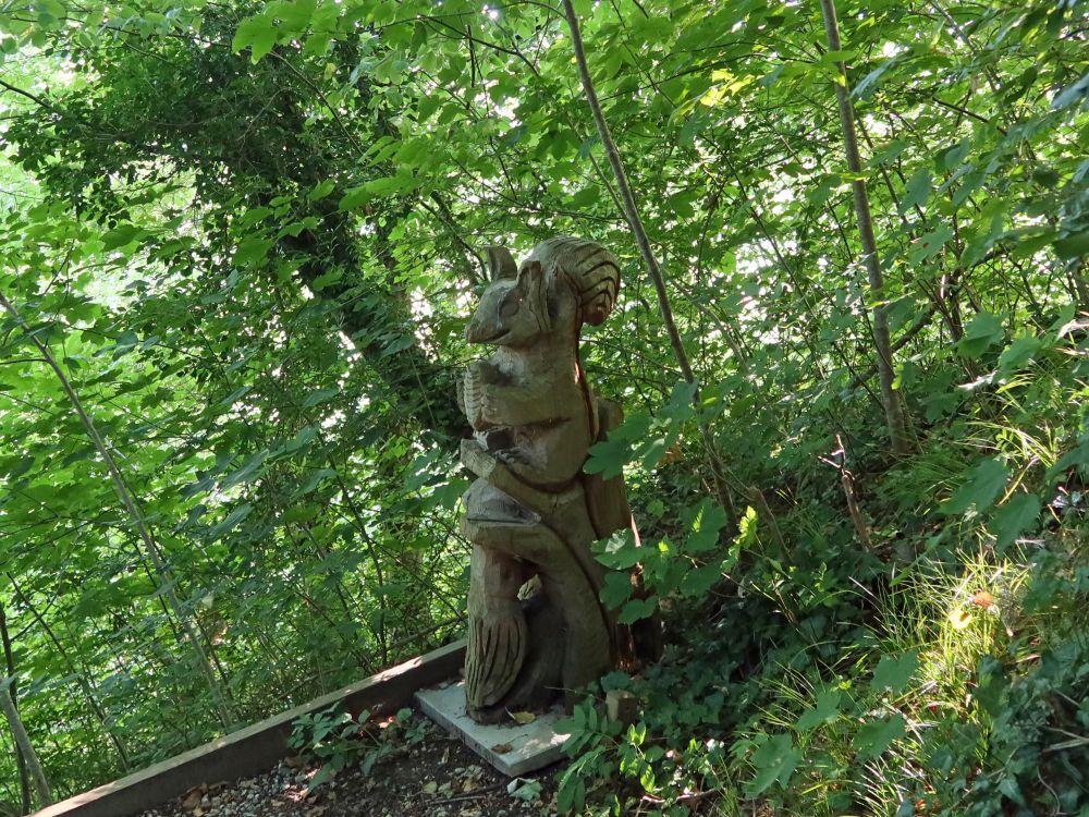 Holzeichhörnchen