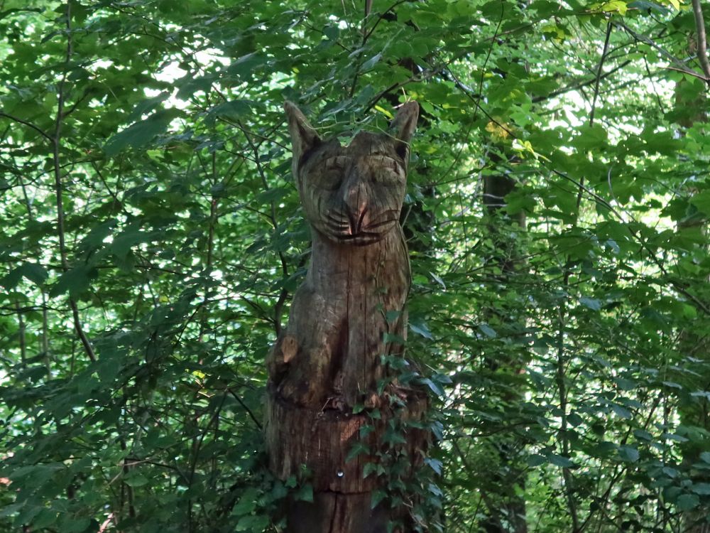 Holzkatze