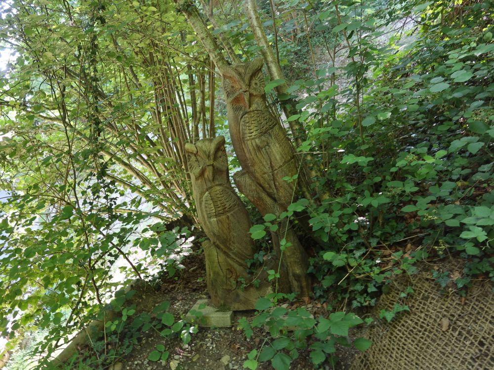 Holzeulen