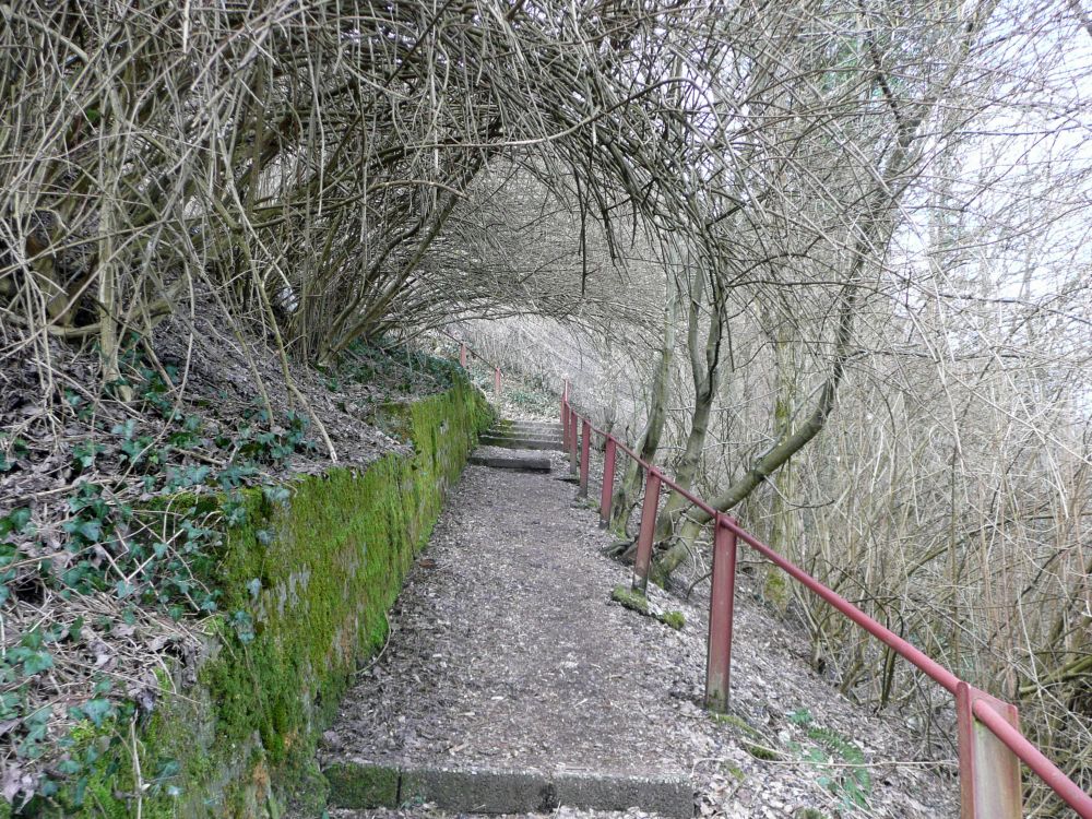 Burgpfad