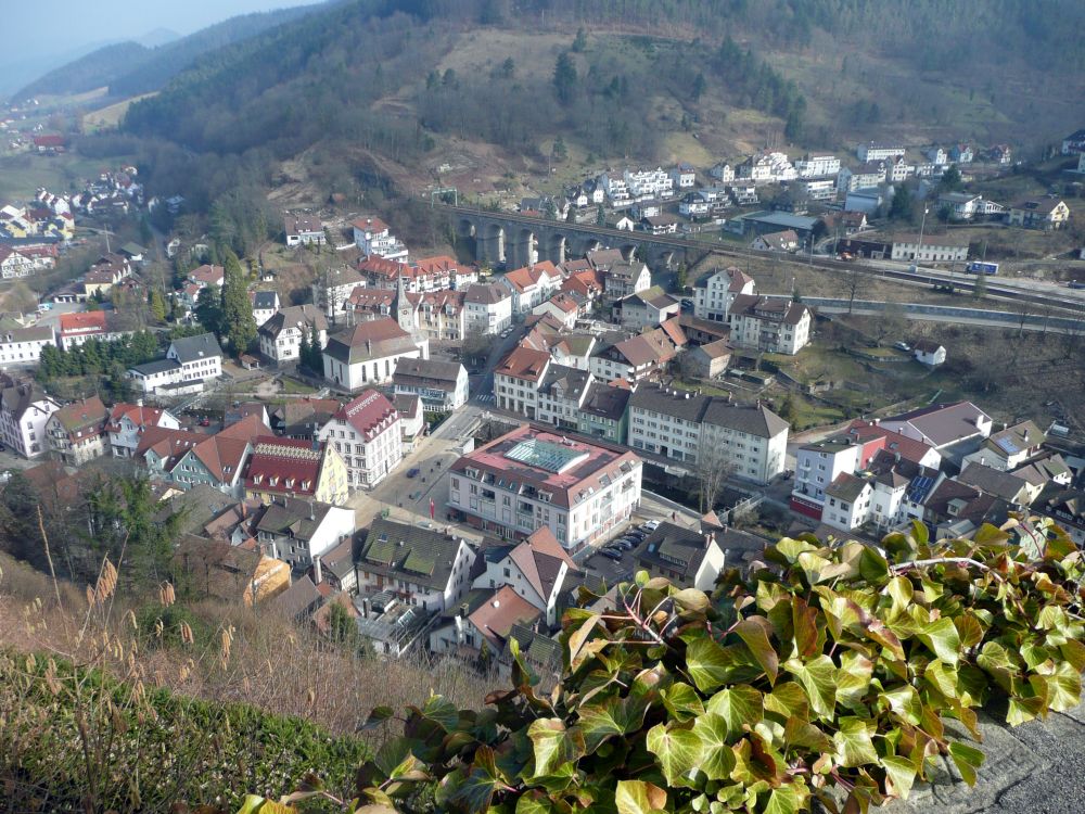 Blick auf Hornberg