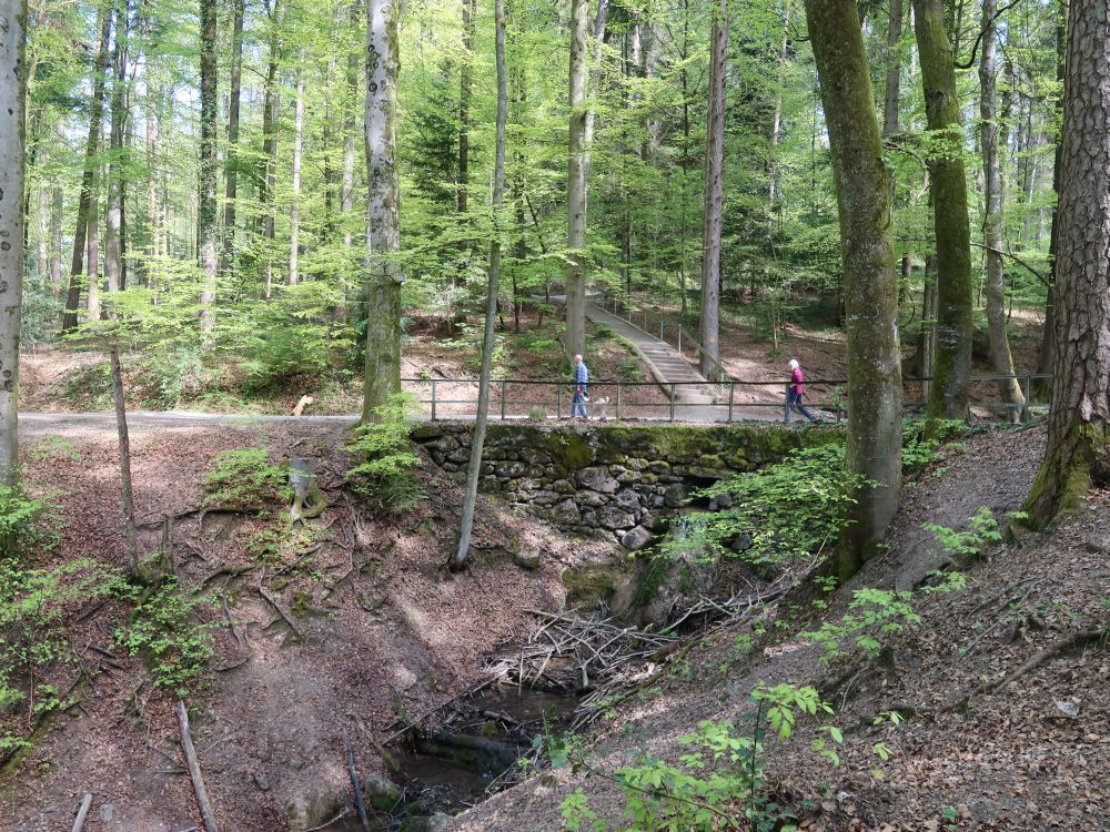 Im chüeleln Grund