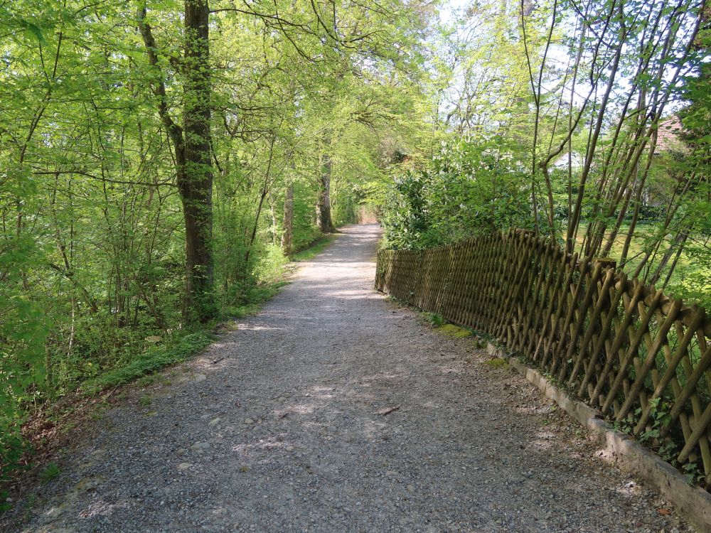 Weg am Düggelbach