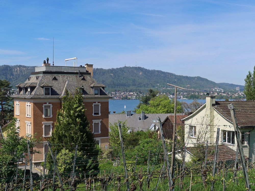 Blick Richtung Uetliberg