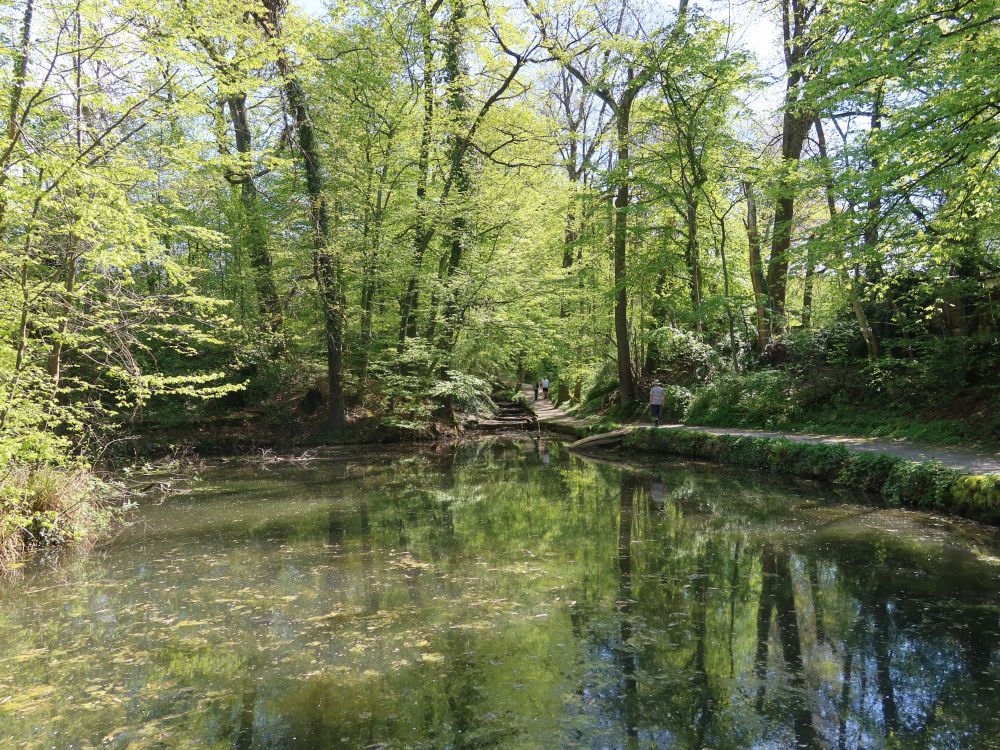 Teich am Nebelbach