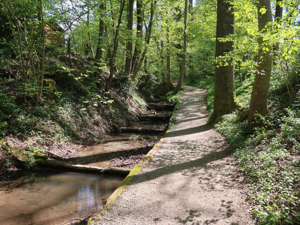 Weg am Nebelbach